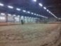 Klipper Manege