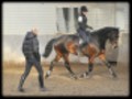 Bakker Manege